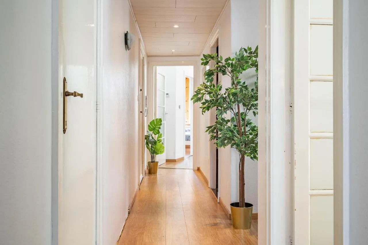 Large Antwerp City Center Apartments Belgium